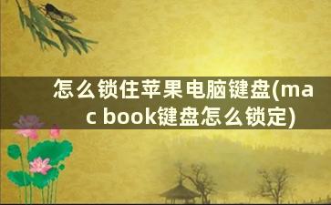 怎么锁住苹果电脑键盘(mac book键盘怎么锁定)